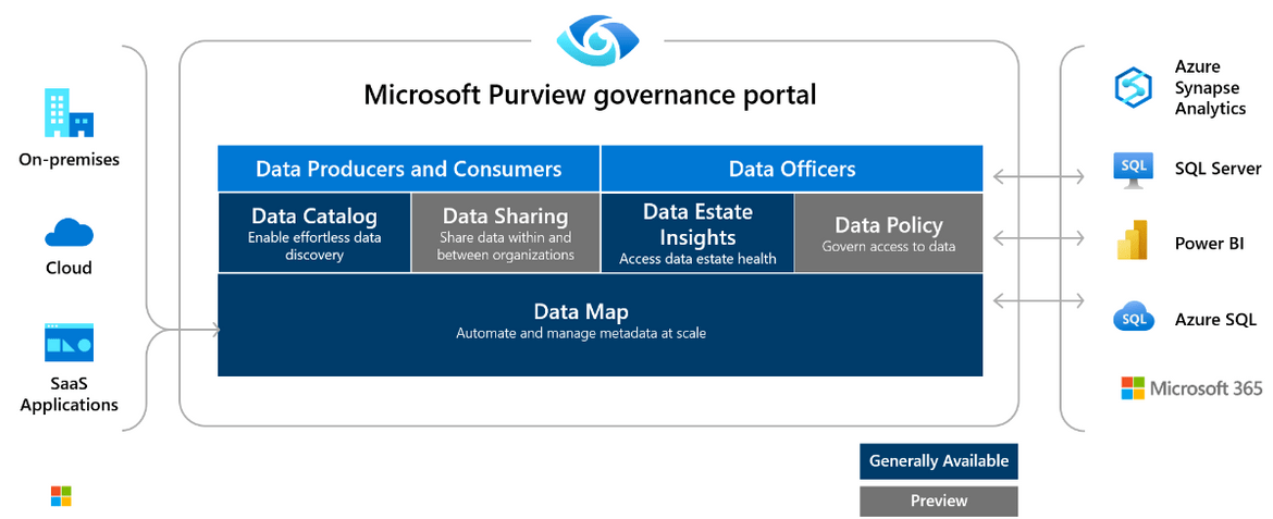 Purview governance portal